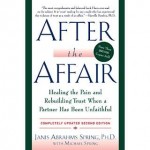 Book cover: After the Affair